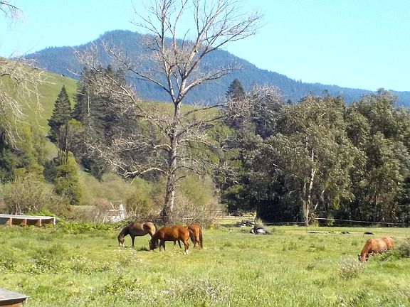 2nd image of 1489 River Bar Rd