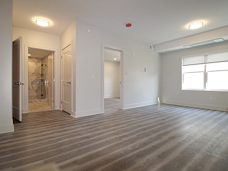 12 Piedmont St #204 — Photo 2