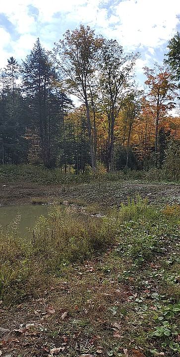 2nd image of North Rd