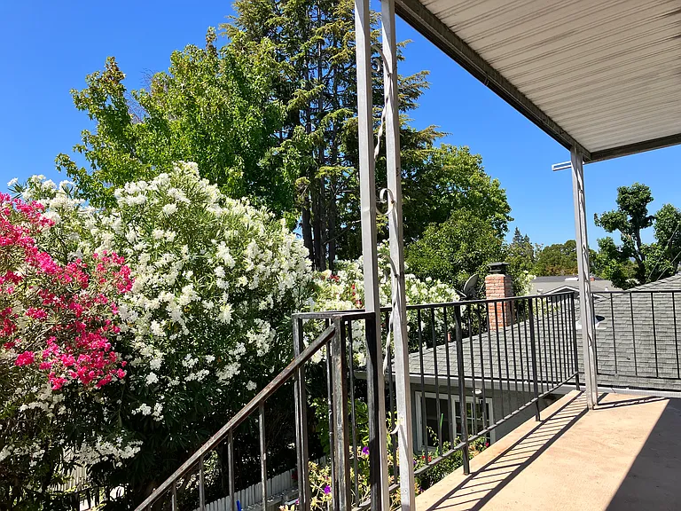 626 Pinewood Dr #3 — Photo 12