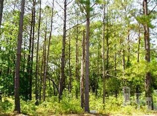 24 E High Bluff Dr LOT 24, Hampstead, NC 28443