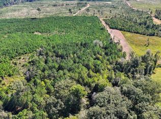 500 Noblin Bridge Rd, Pelahatchie, MS 39145