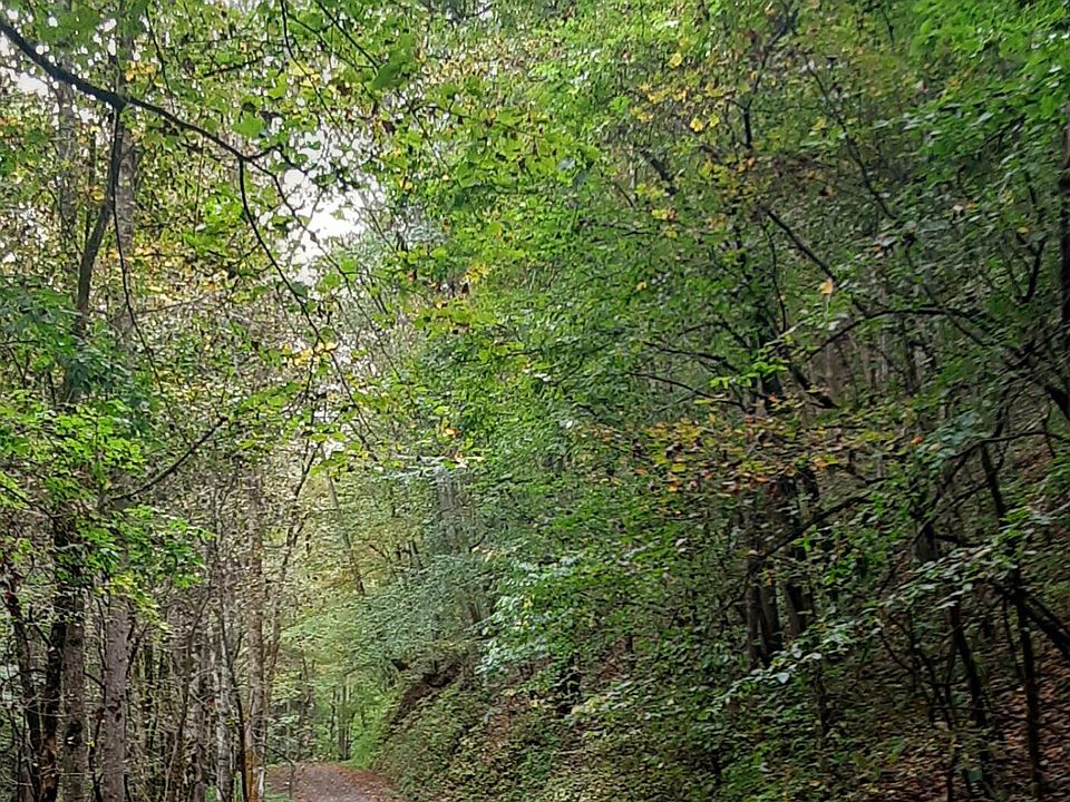 1st image of Indian Creek Ln