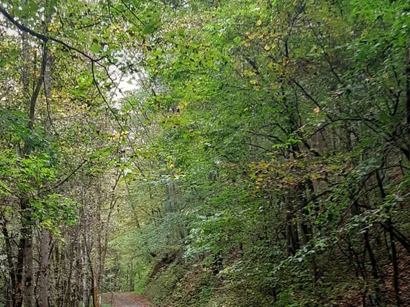 Indian Creek Ln, Bristol, VA 24202