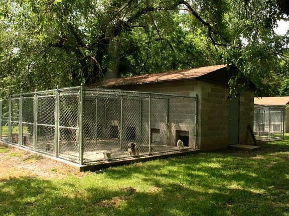 One of Two Kennels