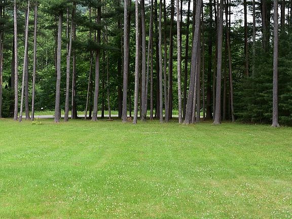 5th image of 23 Tall Pine Ln