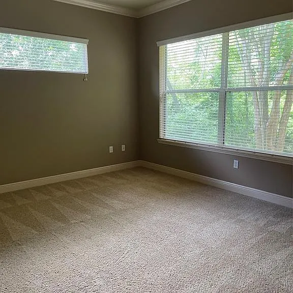 1105 Stoney Creek Blvd — Photo 4