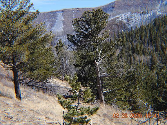 2nd image of 2734 NEWMAN