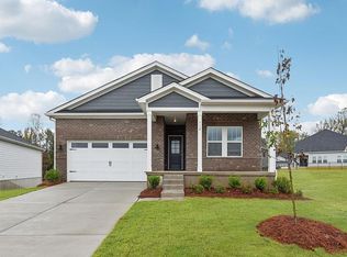 Chandler Basement Plan, Brighton Springs, York, SC 29745