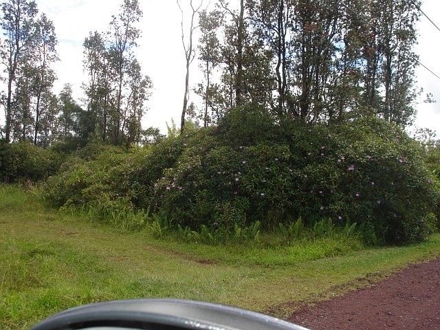 1st image of Hibiscus Dr Lot 39