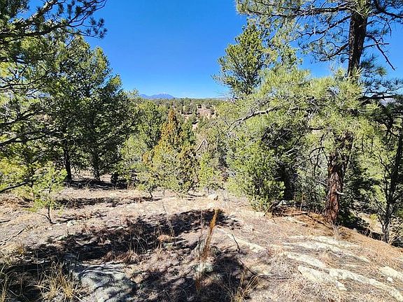 4th image of 28990 County Road 16