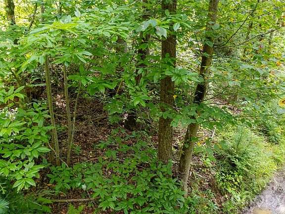 5th image of Collettsville Rd #9