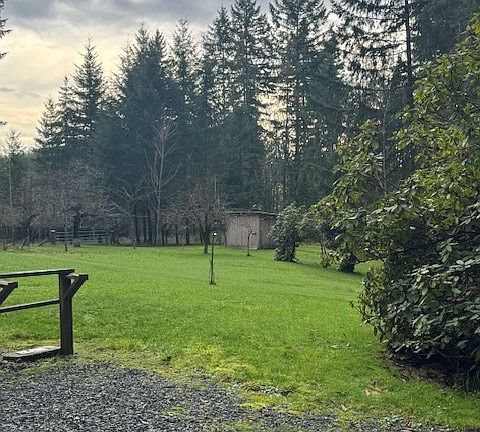 front yard