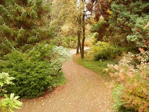 Private Driveway 