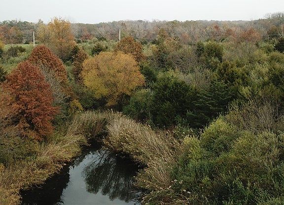 2nd image of White Oak Trl