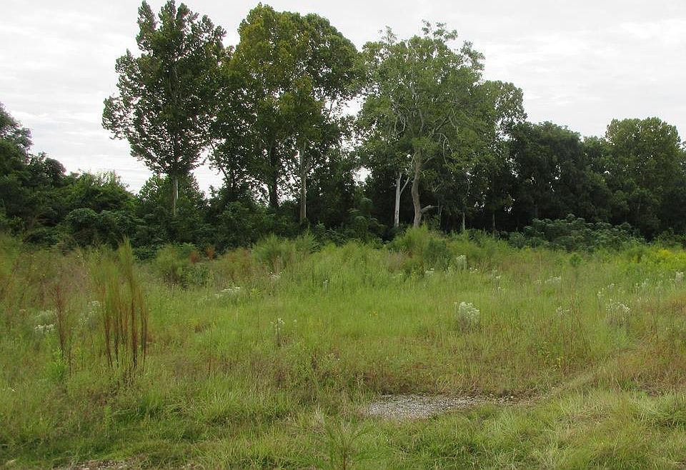2nd image of 00 Oakwood Circle