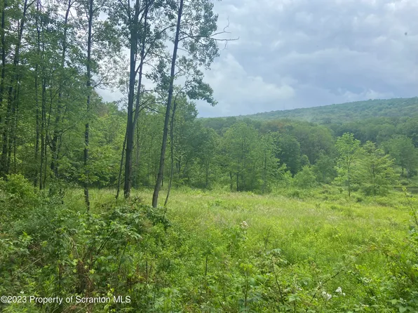 Skinner Hill Rd, Susquehanna, PA 18847