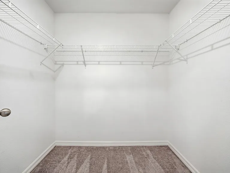 4429 Globe Thistle Dr — Photo 14