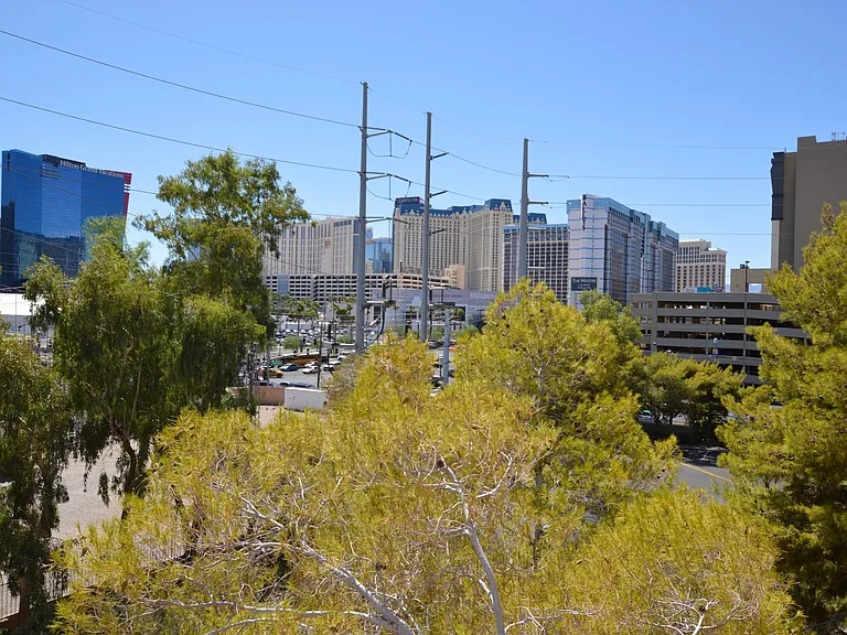 220 E Flamingo Rd #420 — Photo 16