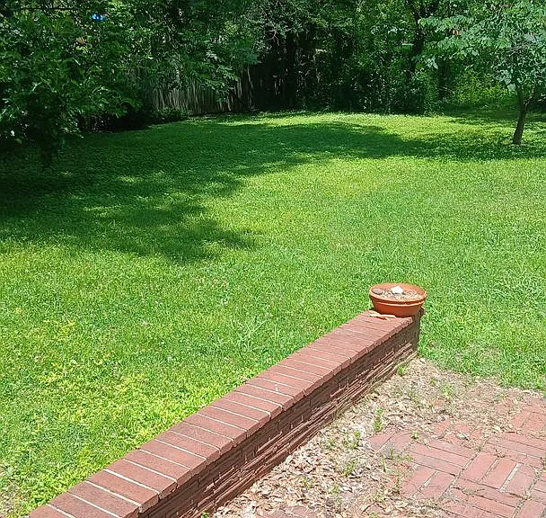 38 Fair Oaks Pl — Photo 51