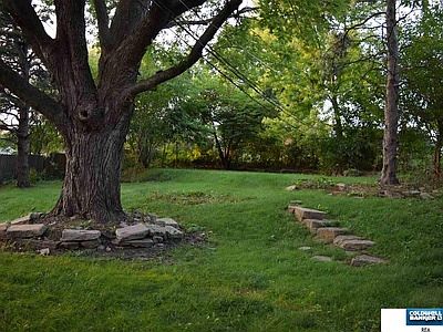 Huge shaded, fenced backyard