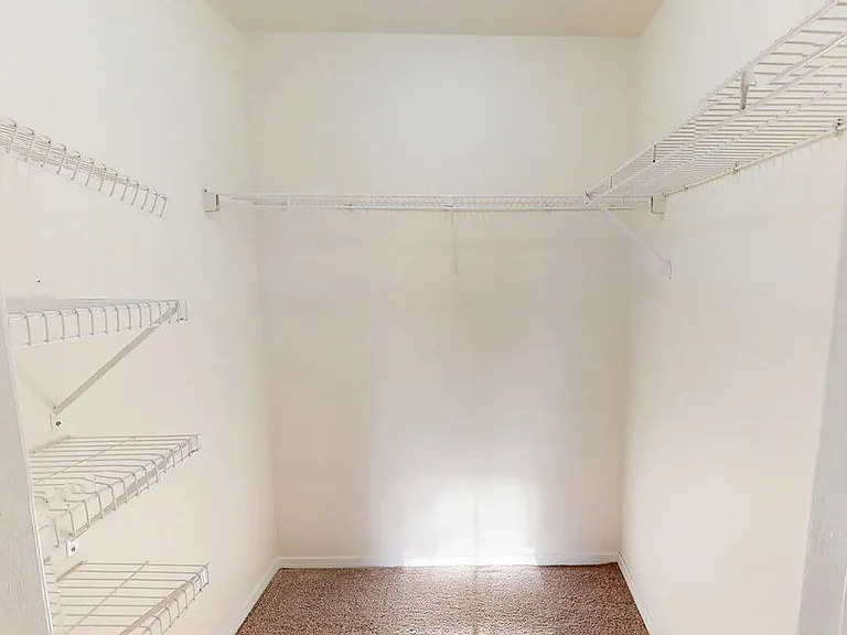 Walk-In Closets (in select homes)
