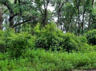 0 SE 147th Ln, Summerfield, FL 34491