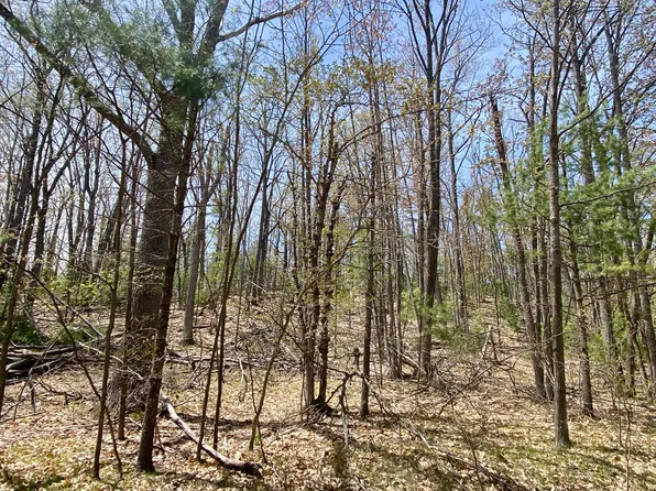 LOT 222 Fascination Dr, Frederic, MI 49733