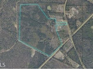 0 Dent Rd #173, Musella, GA 31066