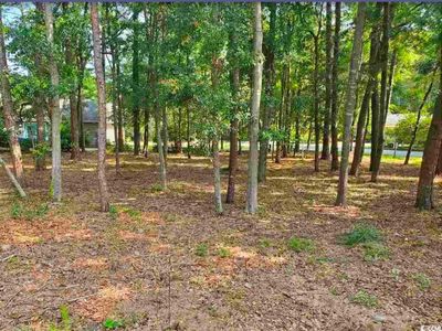 0000 Live Oak Dr., Little River, SC, 29566