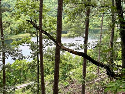 8 Cougar Dr, Mountain Home, AR, 72653
