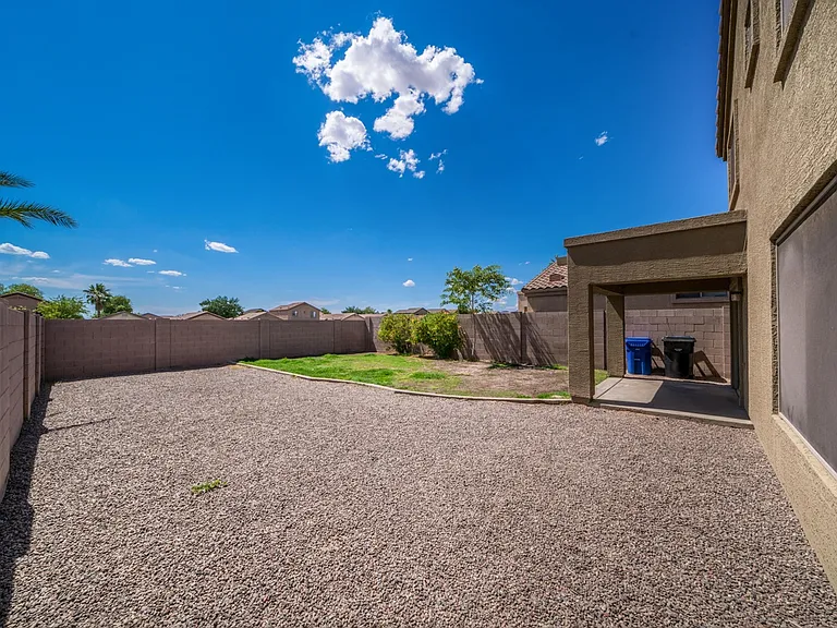 Back yard
