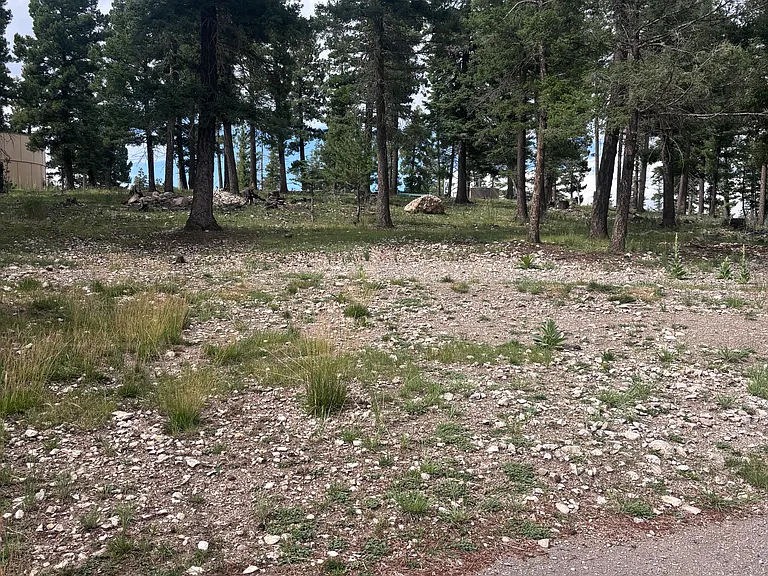 800 Geronimo St — Photo 3