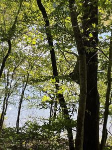 1135 Peninsula Ln, Bullock, NC, 27507