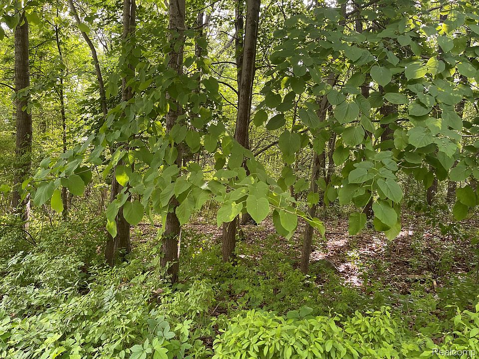 1st image of 8 N Tipsico Lake Rd