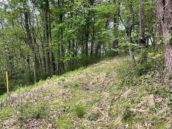 3rd image of Sand Hill Rd