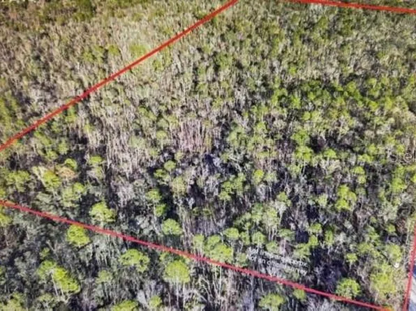 Clearwater Creek Ln, Perry, FL 32348