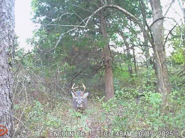 200 Yellowstone Ave, Blockton, IA 50836