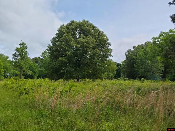 5 Wildcat Shoals Rd, Gassville, AR 72635