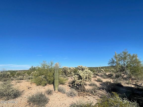 4th image of 15 Acres E Old Florence Kelvin Highway