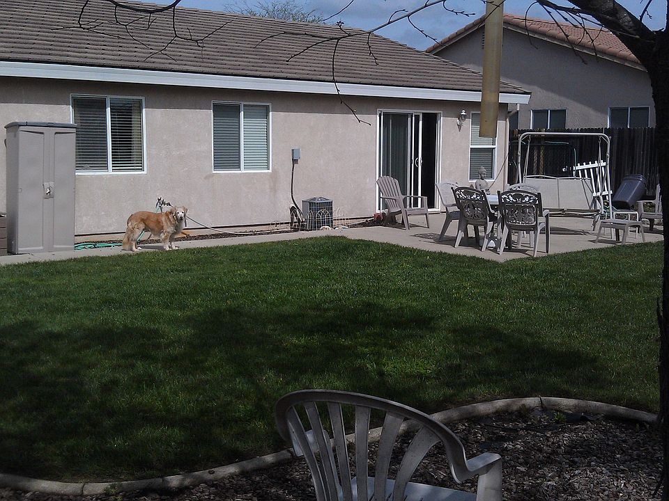 Xtra large back yard w/trees, shed