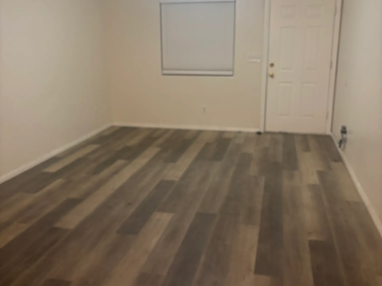 2 bed, 1000 sqft, $1,350 — Photo 3
