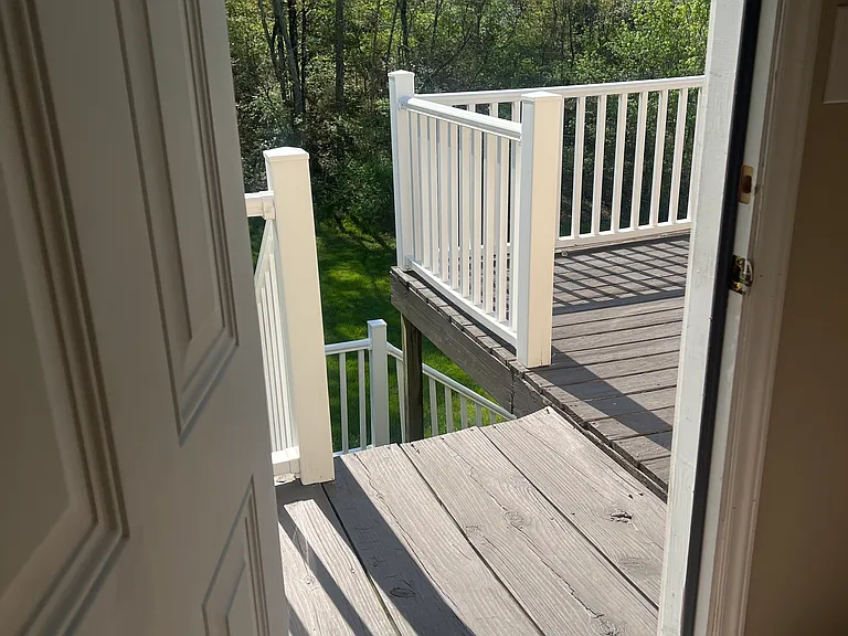 2824 Carrollwood Heights Rd — Photo 17