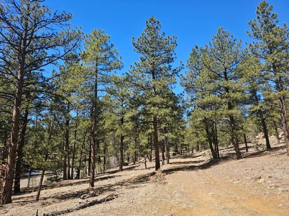 County Road 31.9, Weston, CO 81091