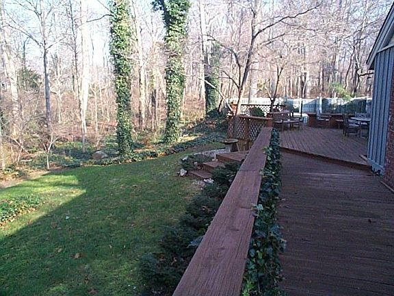 Back deck/yard