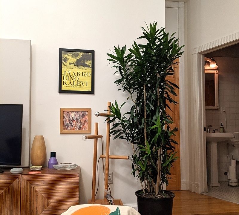 1st image of 286 10th St APT 1
