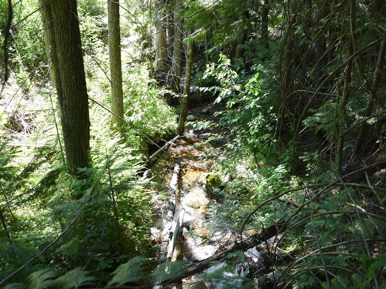 1555 Comstock Mine Rd, Colville, WA 99114 MLS 270065 Zillow