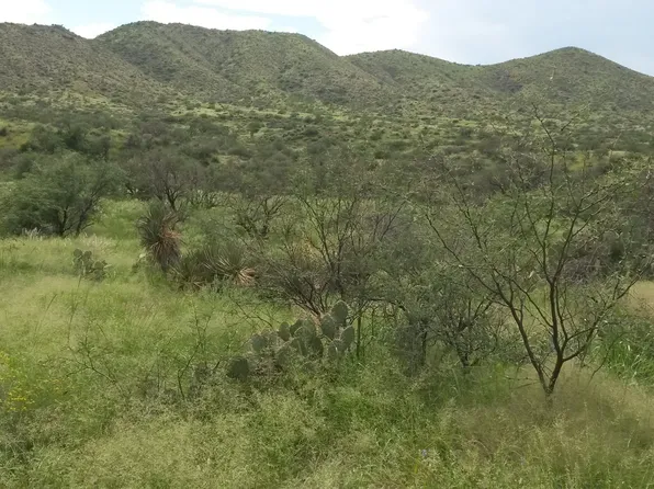 S Goodenough Trl Lot 1, Vail, AZ 85641