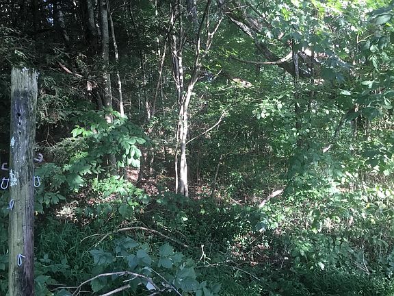 3rd image of 4392 Greenwood Dr