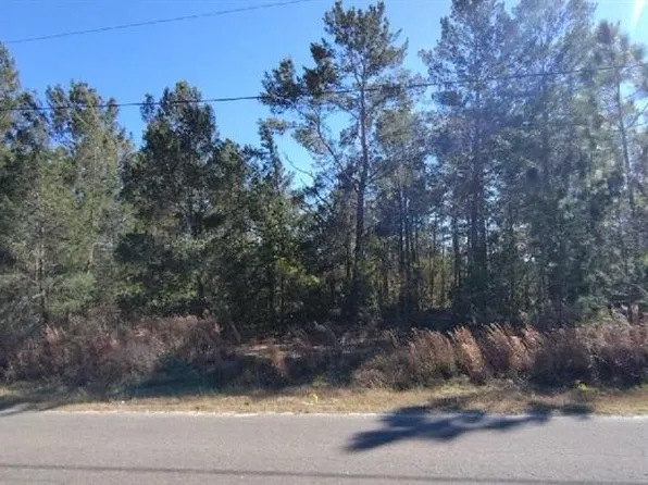 O'Guava Pass Ter, Ocklawaha, FL 32179